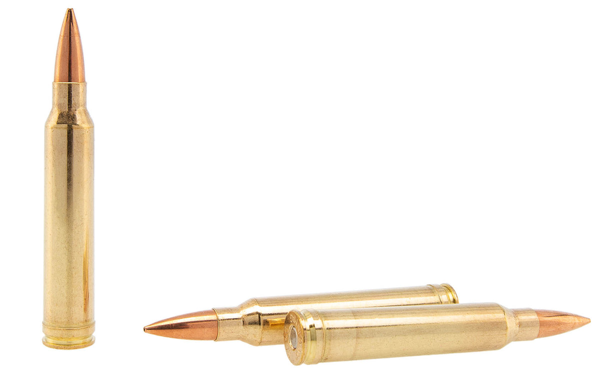 Sako .300 Win Mag 175gr Scenar-L OTM Ammunition