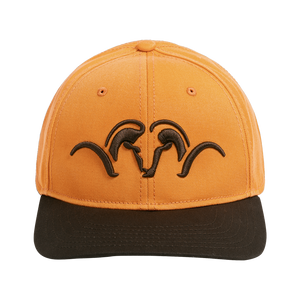 Baseball Caps & Hats