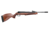 Diana 54 AirKing Pro .22 Spring-Piston Air Rifle