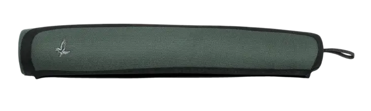 SG (Scope guard)