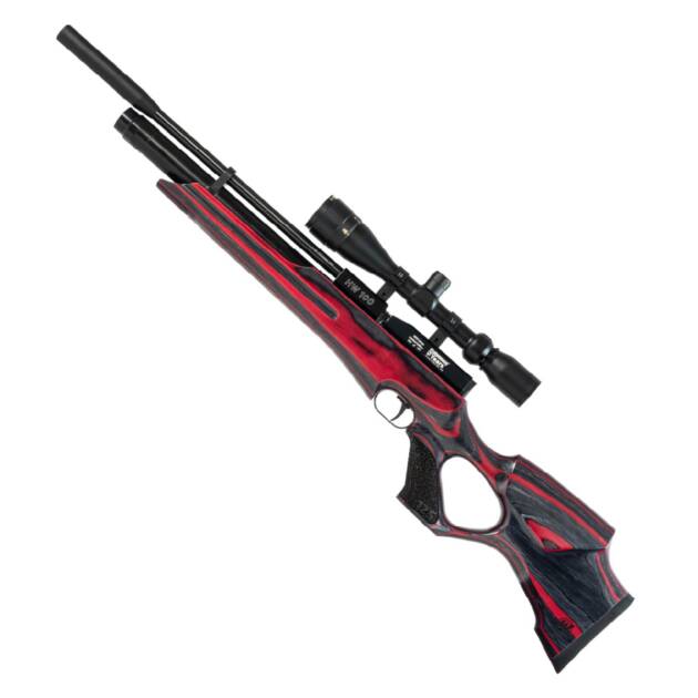 HW 100 T