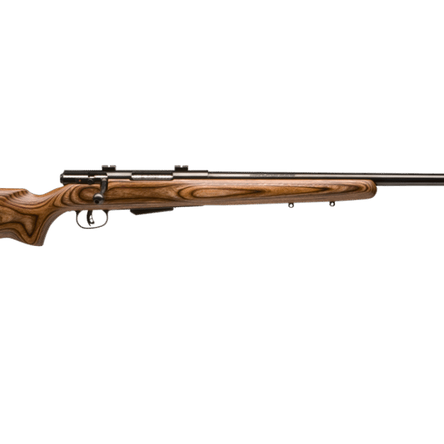 25 LIGHTWEIGHT VARMINTER