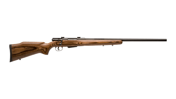 25 LIGHTWEIGHT VARMINTER
