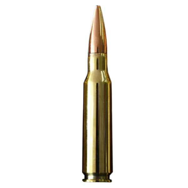 .308 WIN BALL (150 grains) Ammo