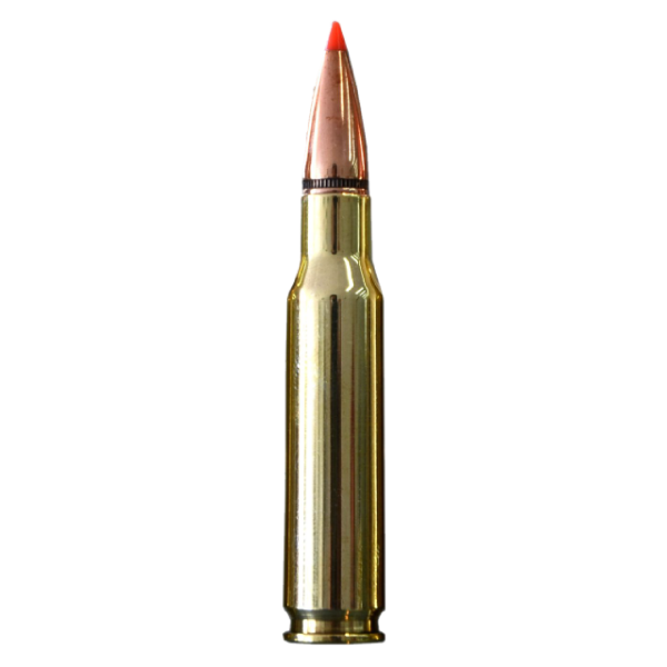 .308 WIN BALL (165 grains) Hunting Ammo