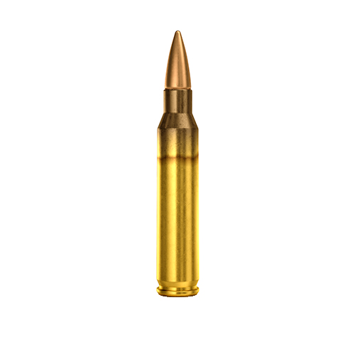 5.56 x 45mm m-193 ball ammo